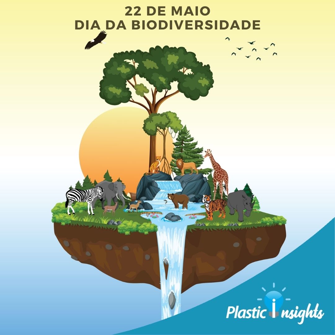 22 De Maio Dia Internacional Da Biodiversidade Plastic Insights